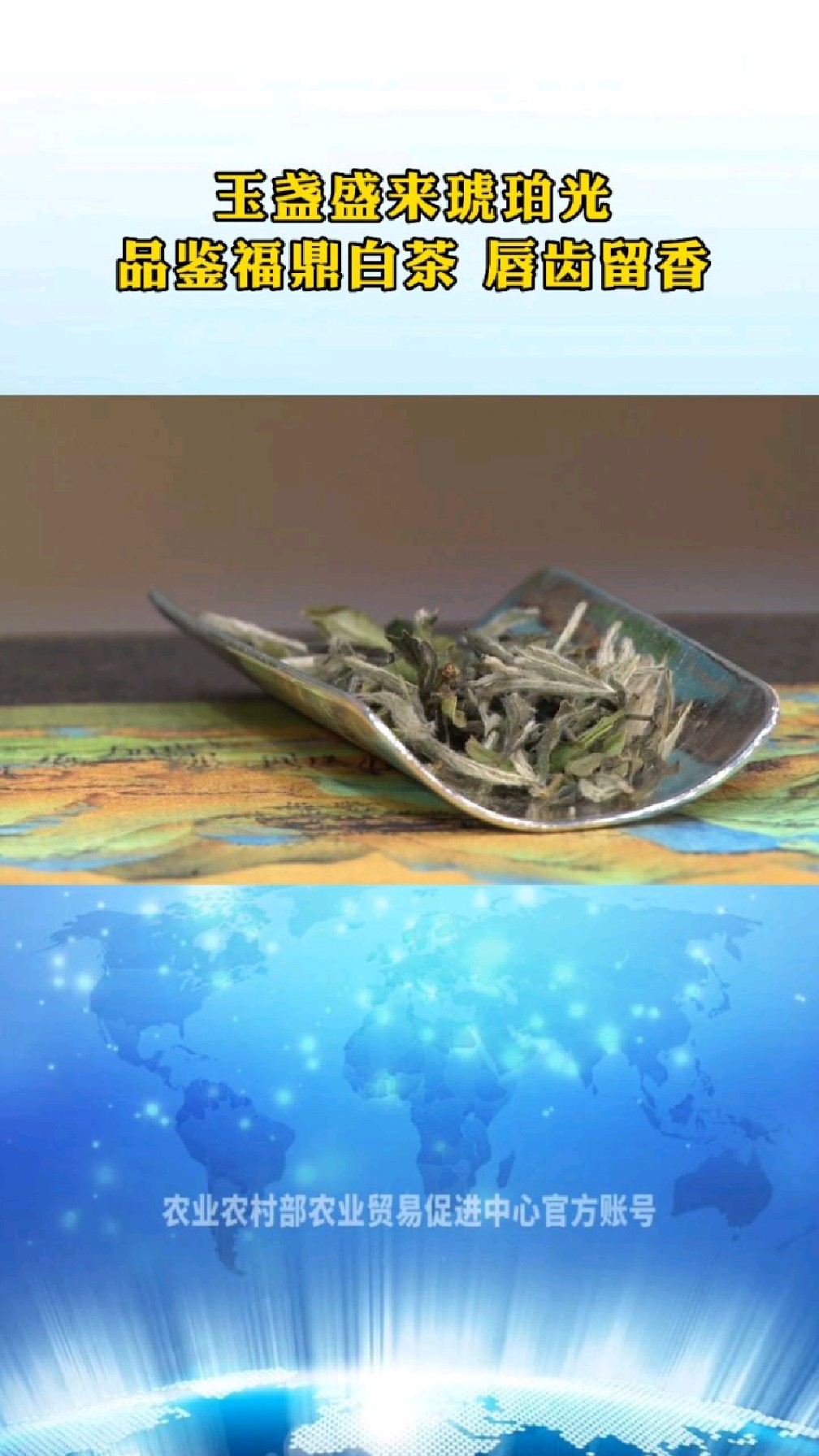 玉碗盛来琥珀光,品鉴福鼎白茶的甜与香
