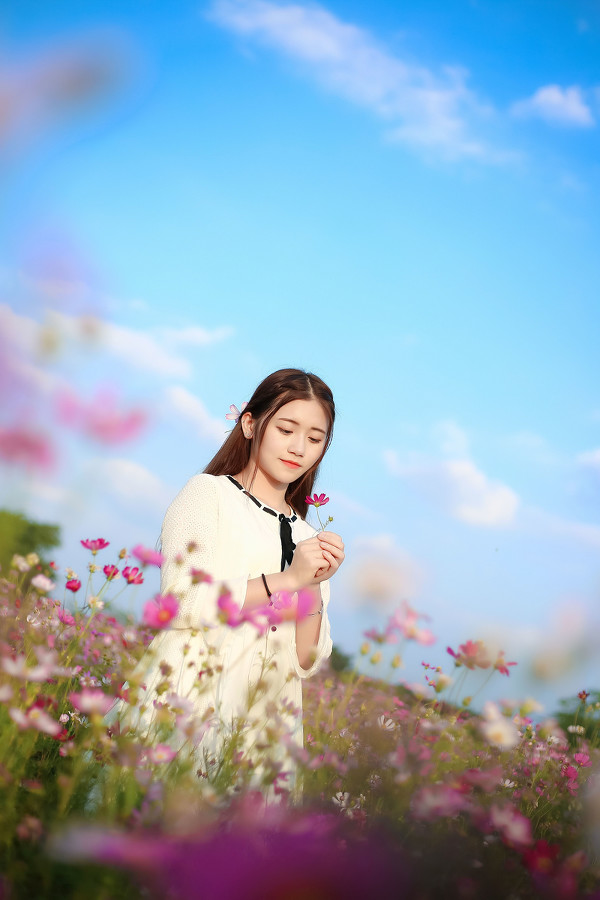 图片[20]-格桑花-六色网
