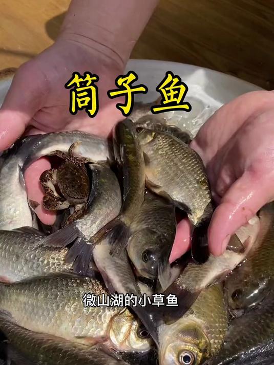 尝遍山珍海味，最怀念的却是家乡菜，微山湖筒子鱼