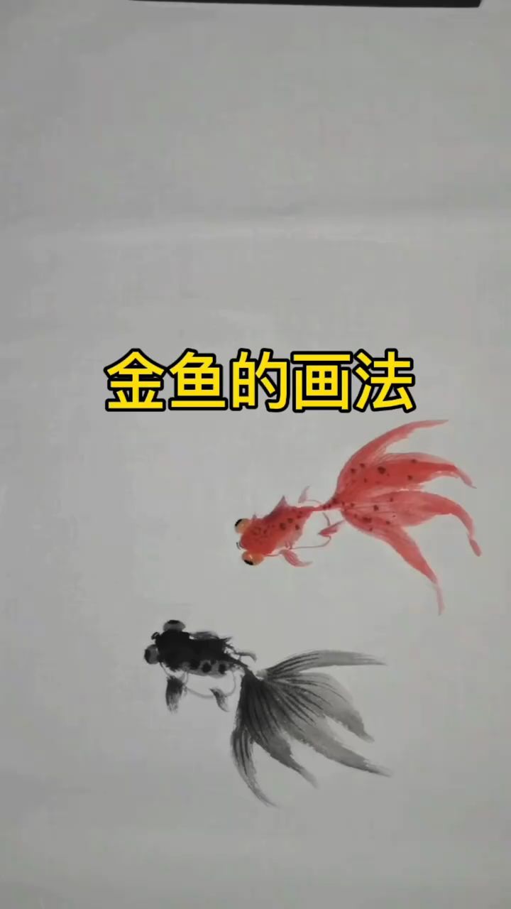 国画小金鱼的画法