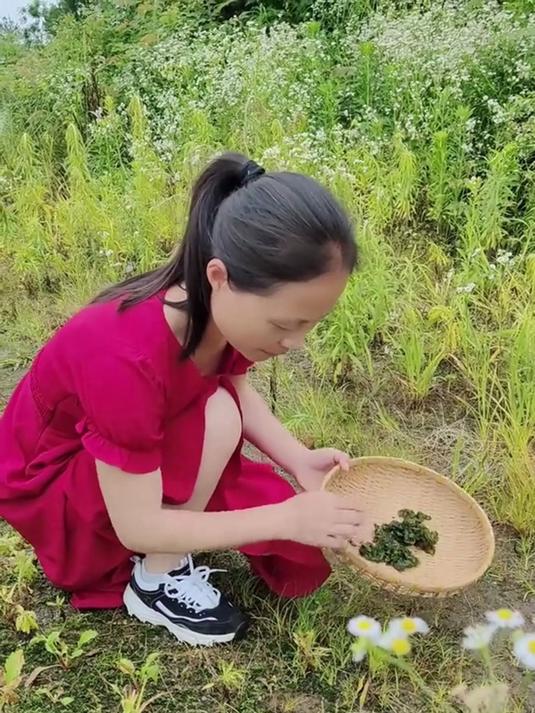 拯救平淡餐桌地皮菜