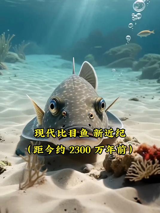 比目鱼养成史：深洋蛰伏磨奇形，变形记藏适底能