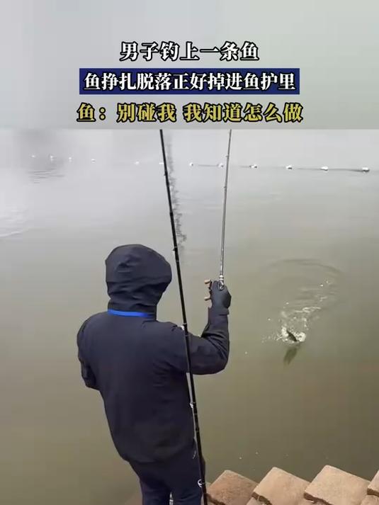 男子钓上一条鱼,鱼挣扎脱落正好掉进鱼护里