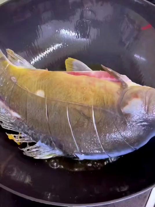 酱焖鲤鱼:这道家家必须做的菜,大家看看你是不是这么做的