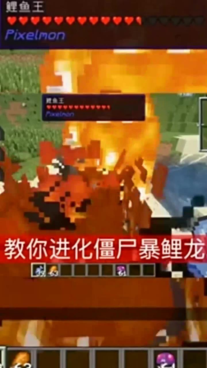 我的世界神奇宝贝教你如何把普通的鲤鱼王进化成僵尸暴鲤龙