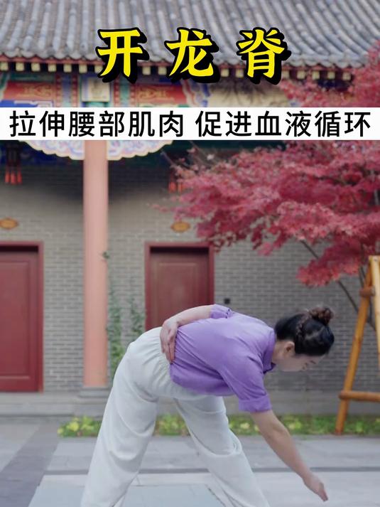 开龙脊拉伸腰部肌肉