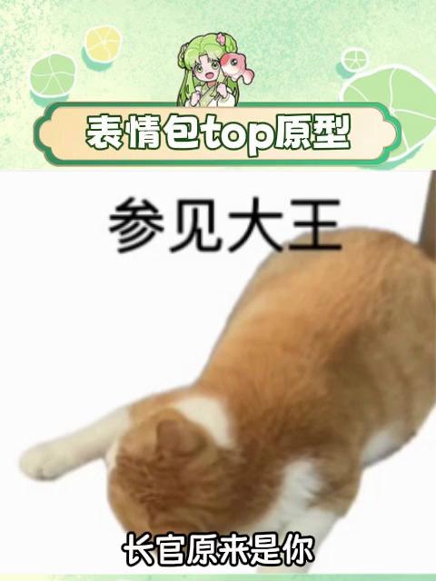 原来这个表情包的原型这么可爱