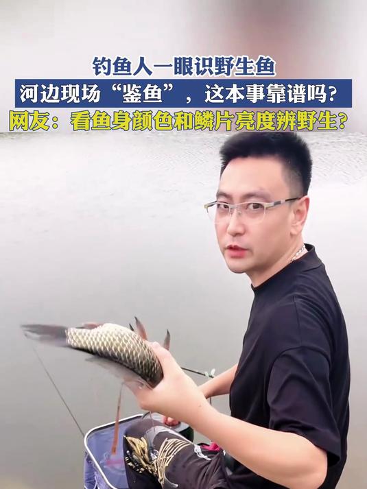 钓鱼人一眼识野生鱼,河边现场“鉴鱼”,这本事靠谱吗?
