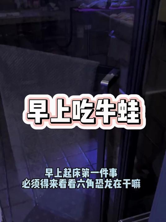 早饭简单的吃口牛蛙吧！#六角恐龙鱼