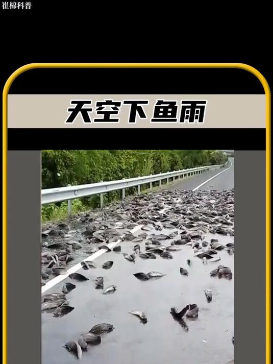 你敢相信吗,天空居然下鱼雨,太震惊了