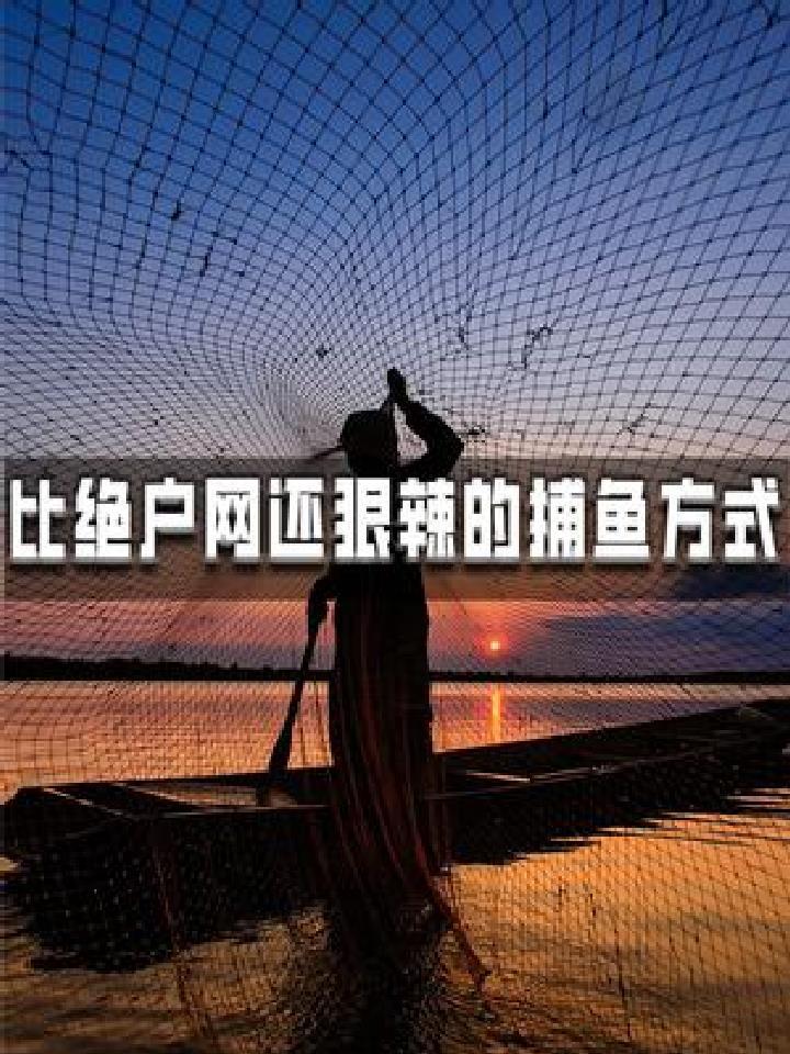 璀璨科学星野生大黄鱼为何这么贵?比绝户网更毒辣的捕鱼方式
