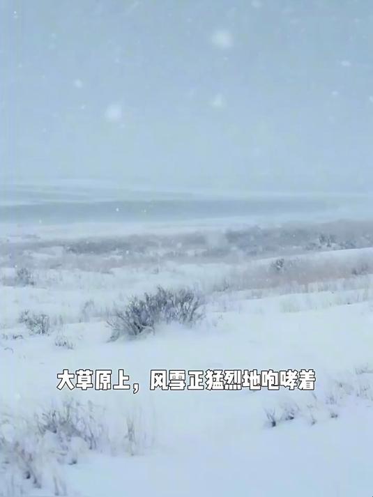 加厚棉大衣冬季男女长款冷库劳保大衣洗防寒工作服棉袄
