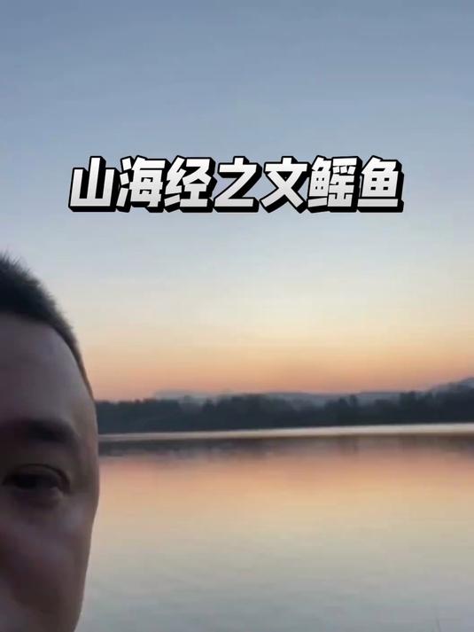 山海经之文鳐鱼 #山海经##神兽#