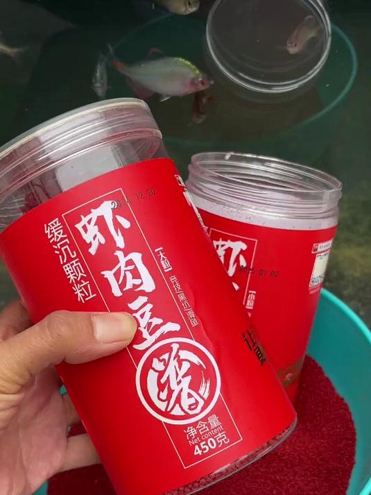 竞技黑坑饵料!贾东普虾肉豆,缓沉颗粒适配麻团钓滑鱼!