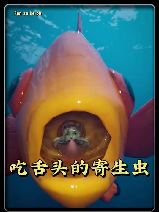 吃舌头的寄生虫