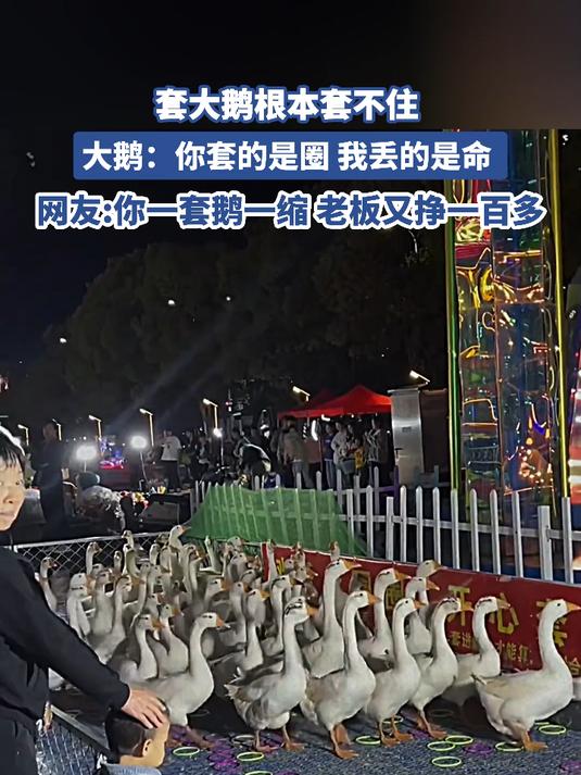 套大鹅根本套不住,大鹅:你套的是圈 我丢的是命