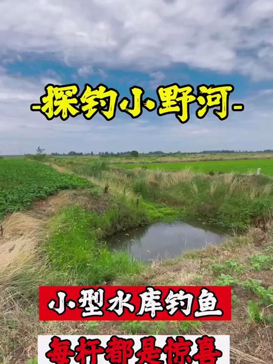 在这种小水库钓鱼咱这装备足够用