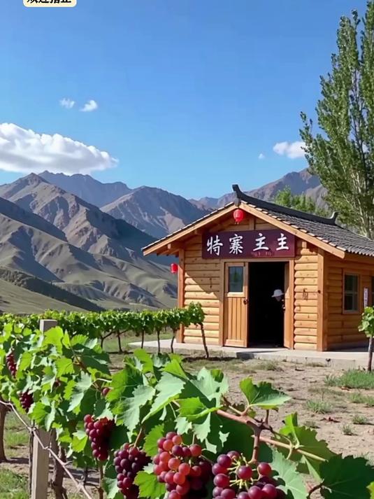 贺兰山东麓葡萄酒塞上江南的紫色奇迹