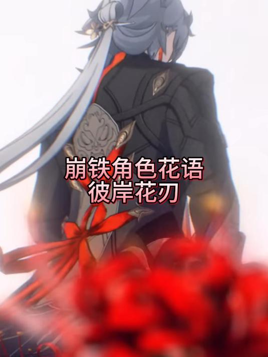 崩铁角色花语,彼岸花刃