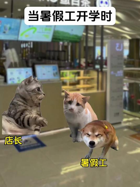 就这么水灵灵的相遇了