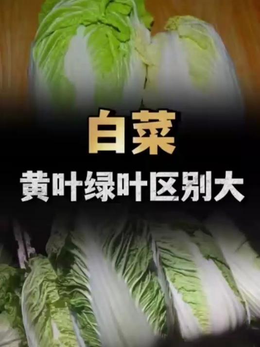 同样是白菜,“黄叶”和“绿叶”有什么区别,哪种更好?