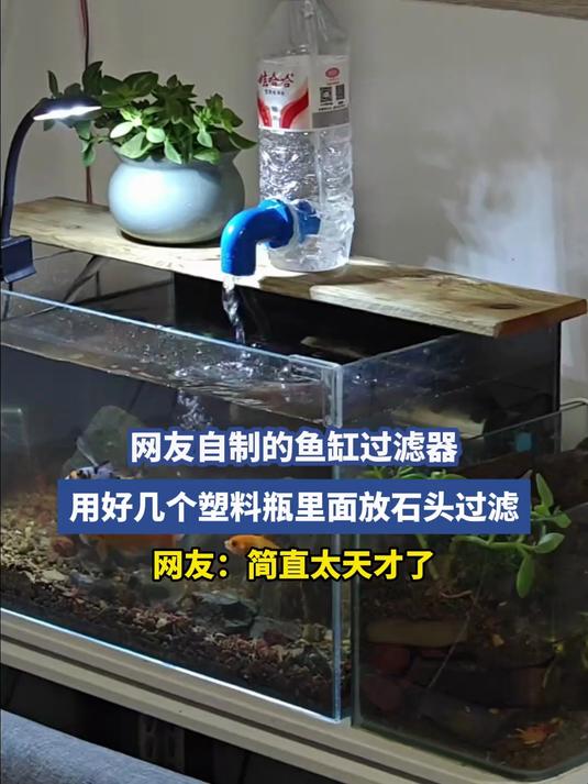 网友自制的鱼缸过滤器,用好几个塑料瓶里面放石头过滤,网友:简直太天才了