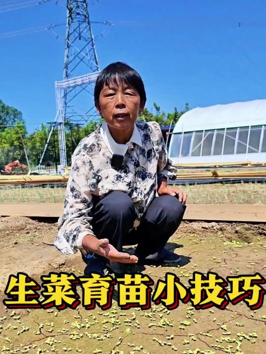 发芽快呢，赶紧种起来吧！#种植