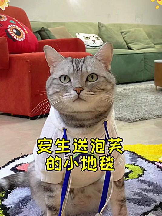 安生：祝泡芙生日快乐喜欢我做的小地毯嘛～