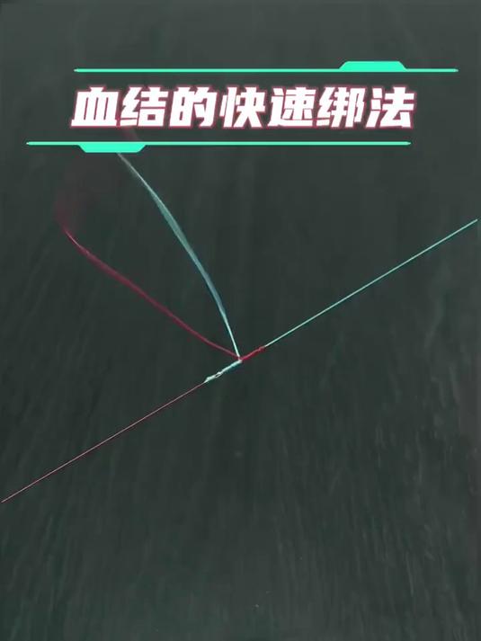 鱼线打结方法教学,血结的教程!
