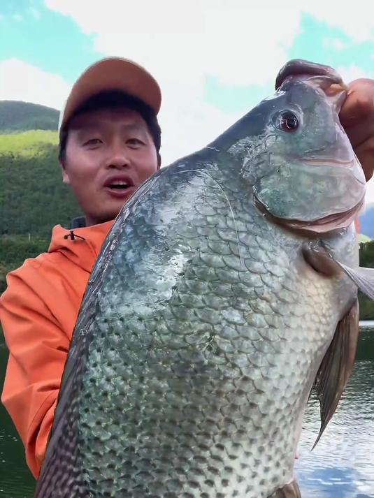 澜沧江浴龙岛解锁妖怪非,破个人野钓罗非纪录,兄弟们猜猜有多重