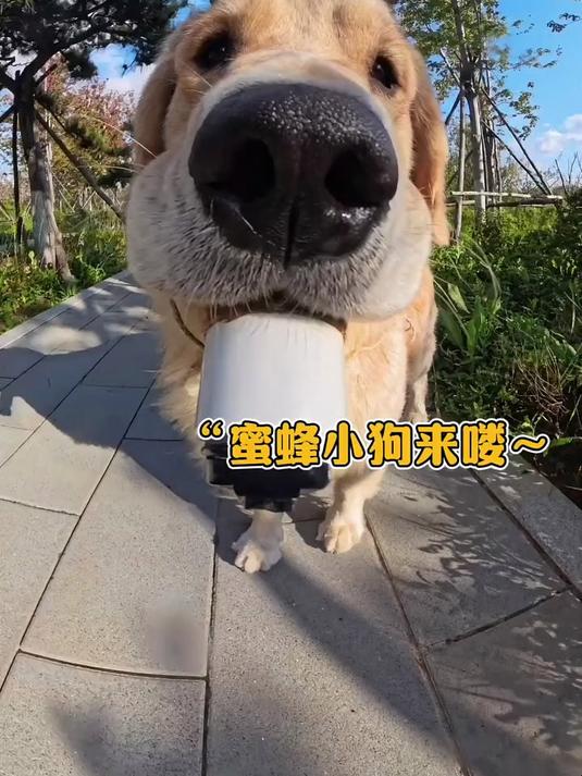 姨姨们～晚饭吃撑啦，又来公园溜溜哒啦～俺妈说宝的小脚趾豆炒鸡可爱
