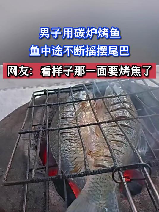 男子用碳炉烤鱼，鱼中途不断摇摆尾巴，网友：看来那一面要烤焦了
