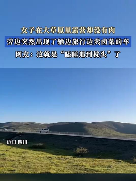 女子在大草原里露营却没有肉,旁边突然出现了辆边旅行边卖卤菜的