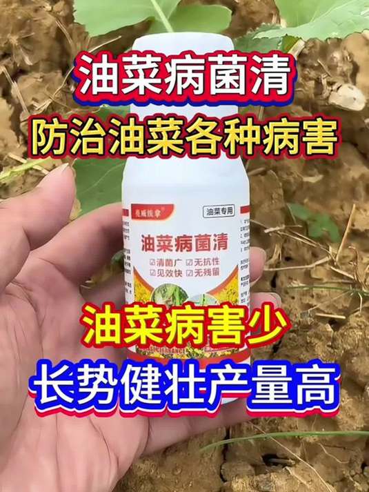油菜病菌清,轻松防治多种病害,助力油菜丰收