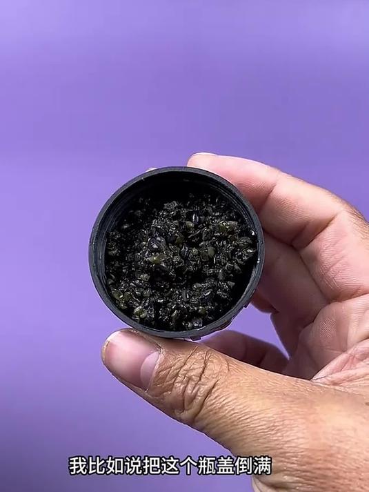 酒米打窝有技巧,黑米窝料钓鲫鱼,效果佳