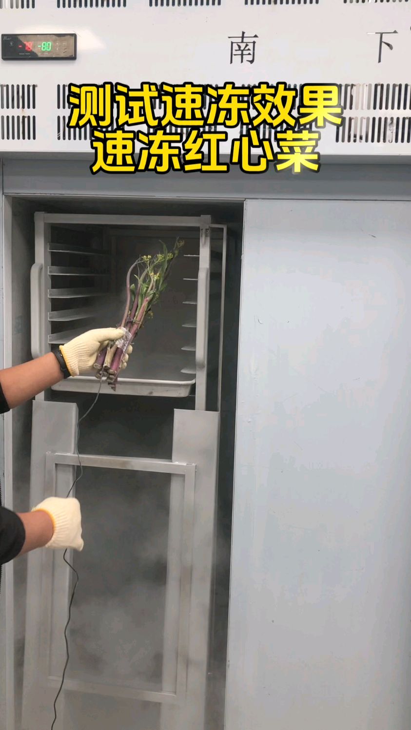 速冻红心菜,测试速冻效果