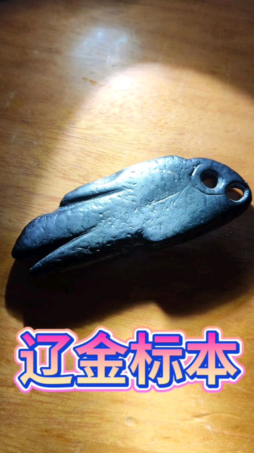 辽金鱼眼睛嘴巴明快准确,萌萌哒