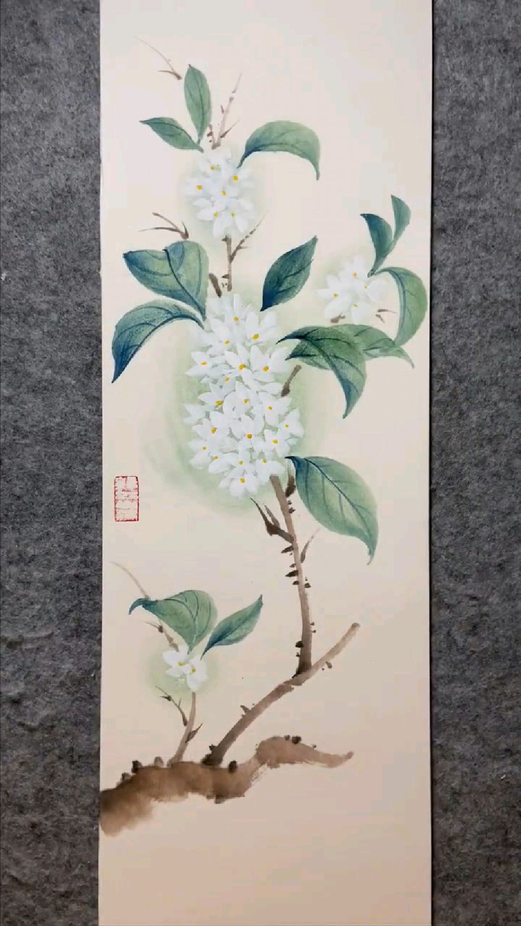 国画白桂花的画法