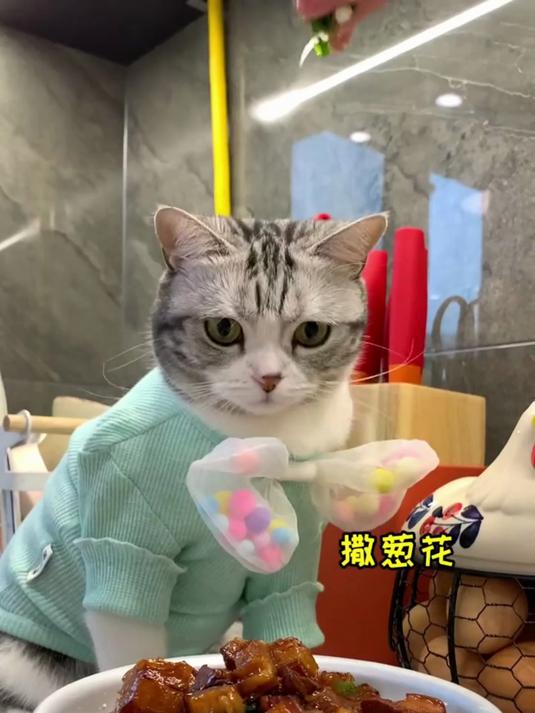 第一次动手做蛋糕 贡献给芙爸了 祝他生日快乐