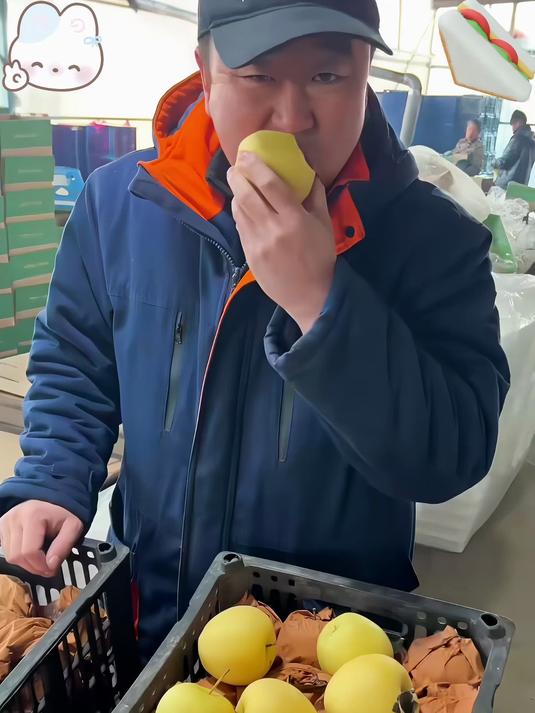 这就是我们甘肃黄元帅苹果老品种果味浓郁真的很好吃