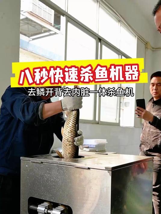 杀鱼其实就这么简单,一台立式自动杀鱼机,去鳞开背去内脏全搞定