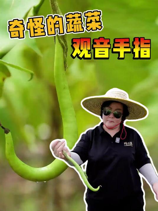 这是观音手指还是辣椒?这种奇怪的蔬菜吃起来到底是什么味道?