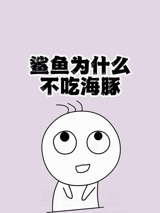 鲨鱼为什么不吃海豚呢?