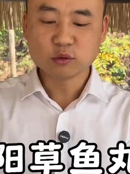 衡阳草鱼丸子 今天来打衡阳草鱼丸子，还是那个味道，软软弹弹
