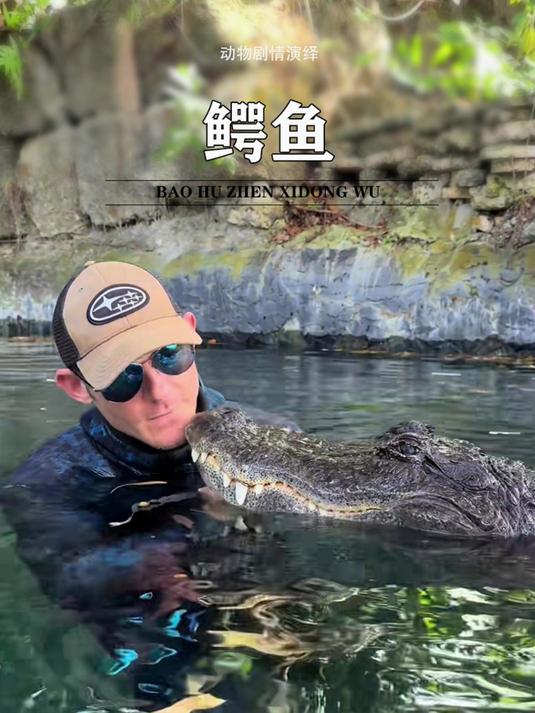 男人本想买一只鳄鱼蛋加餐,没想到却出现了不可思议的一幕