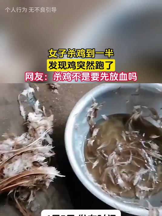 女子杀鸡到一半,发现鸡突然跑了,网友:杀鸡不是要先放血吗