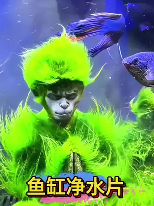 鱼缸爆藻水黄又浑浊?快用高分子净水片解决!