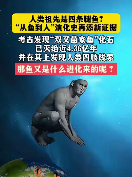 人类祖先是四条腿鱼?“从鱼到人”演化史再添新证据