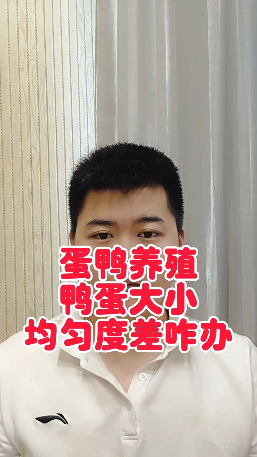 #鸭子蛋大小不均怎么回事鸭蛋个头小是怎么回事鸭子生的蛋很小怎么办鸭子下蛋小是什么
