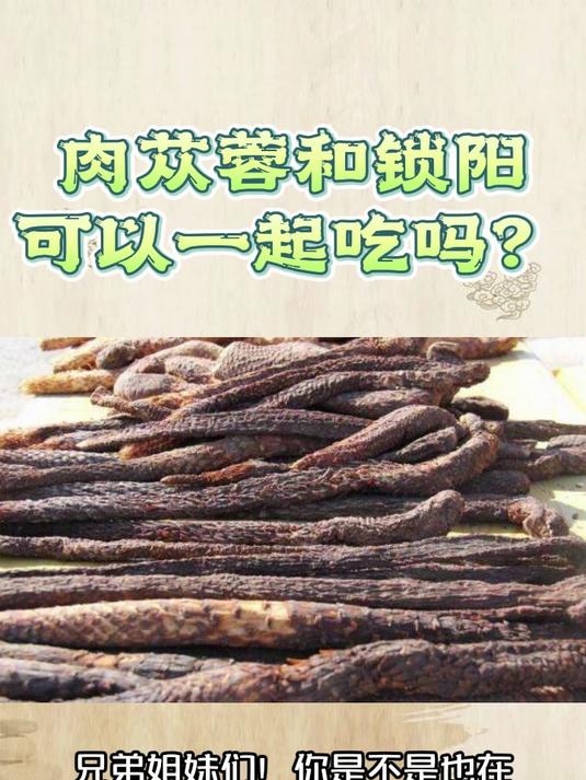 肉苁蓉和锁阳可以一起吃吗?